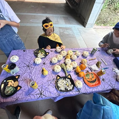 Spread of potluck food